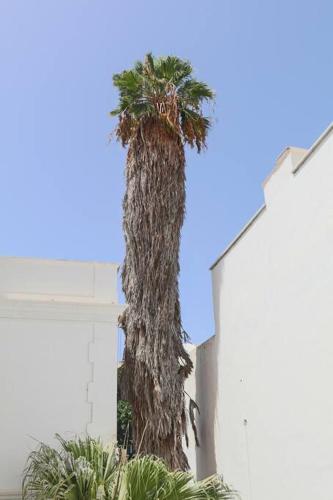 Comfortable Room in Historic Casa Quesada Shared House