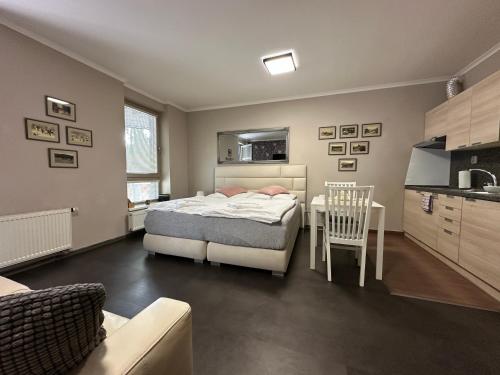 Harrachov Resident Apartments "Terrace & Chill" - high speed WiFi, možnost snídaně, Smart TV, Netflix, Disney plus