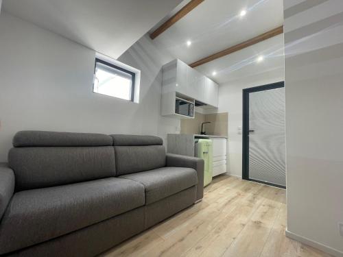 un salon avec un canapé et une cuisine dans l'établissement Petit studio au fond du jardin, à Saint-André-de-Sangonis