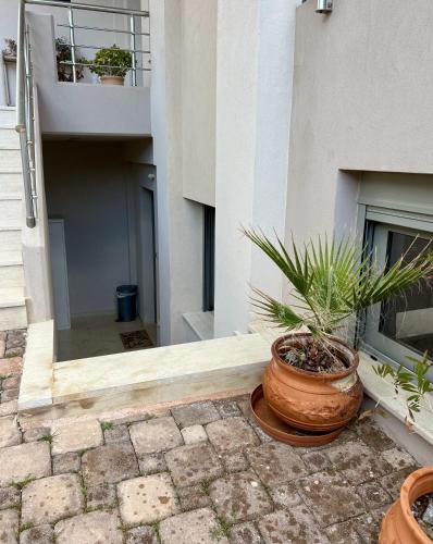 Artemis Guesthouse