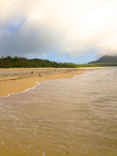 a view of the beach from the water at Nata Beach Villa in Ishigaki Island