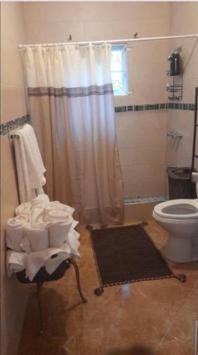 a bathroom with a shower curtain and a toilet at Orange Hill Manor in Browns Town