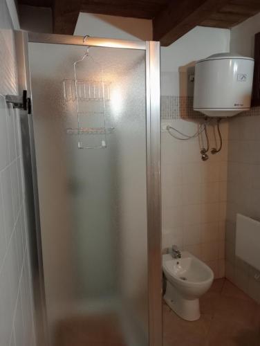 a bathroom with a shower with a toilet and a sink at Casa Meli in Passo del Tonale