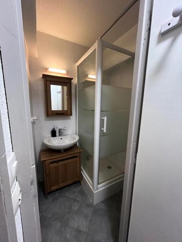 une salle de bain avec un lavabo et une douche en verre dans l'établissement Résidence Les Campanules - Les Campanules CA43FB MAE-0341, à Villarodin-Bourget