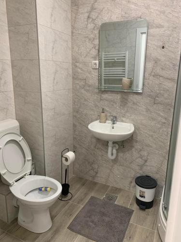 a bathroom with a toilet and a sink at Stan na dan Gradiška in Bosanska Gradiška