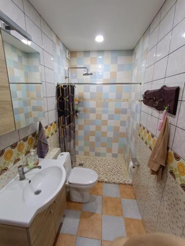a bathroom with a toilet and a sink and a shower at Laisvas kambarys in Svėdasai