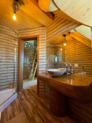 a bathroom with a stone sink in a wooden room at Cabana Grama -ponton privat și jacuzzi pe Lacul Cinciș in Cinciş