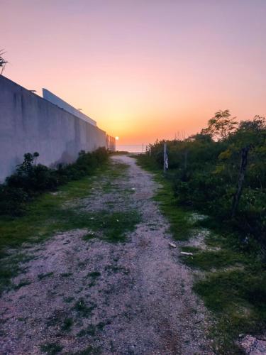 a dirt road with the sunset in the background at Casa 3 flamencos - estudio y apartamento in Celestún