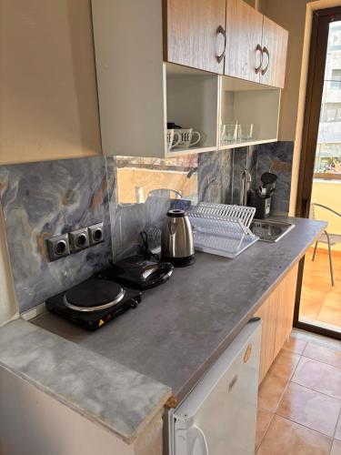 Η κουζίνα ή μικρή κουζίνα στο Aleka Apartments