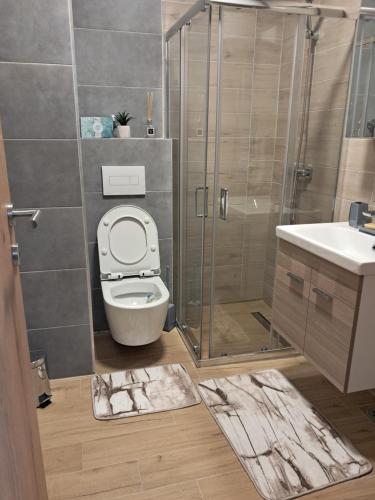 Vannituba majutusasutuses Apartman Zvezdica