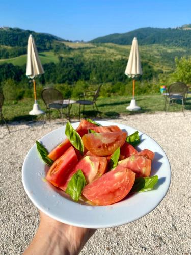 a person holding a plate of vegetables on a table at Agriturismo Colle Mura in Morano Madonnuccia