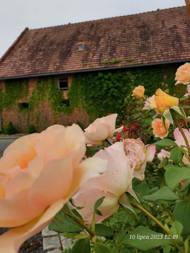 Taman di luar Gościnna Zagroda Gościejowice Noclegi Apartamenty Agroturystyka Niemodlin