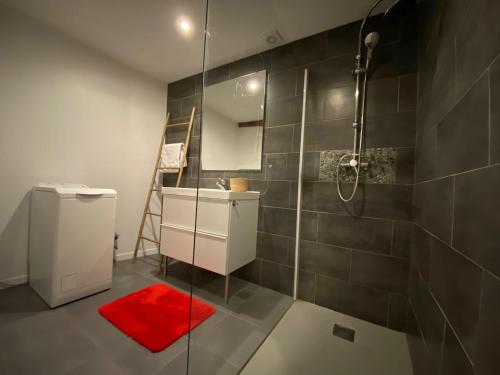 une salle de bain avec douche et un tapis rouge dans l'établissement Appartement cœur historique, à Albi