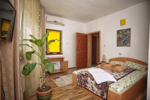 a bedroom with a bed and a potted plant at Pensiunea Caramida Verde in Craiova