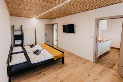 プレショフにあるApartment HM Prešovの部屋の中に大きなベッドがある寝室
