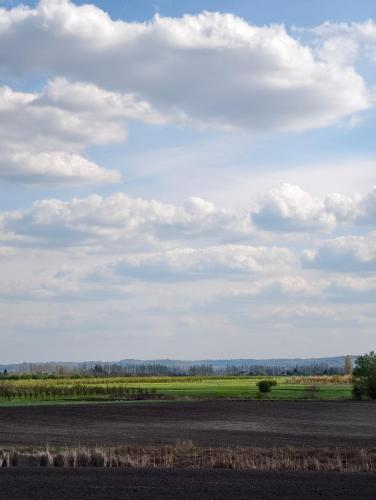 Gallery image of Hedonists Paradise in Omoljica