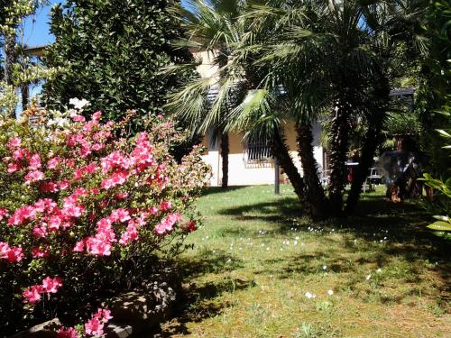Zahrada ubytování Villa Celeste