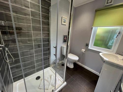 a bathroom with a shower and a toilet and a sink at Overlooking the Norfolk Broads in Carlton Colville