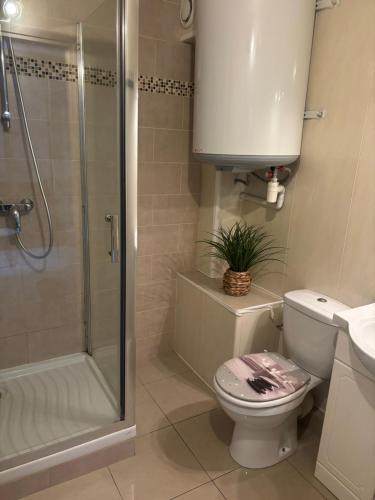 une salle de bain avec une douche, des toilettes et un lavabo dans l'établissement Studio cabine en front de mer, à Fréjus