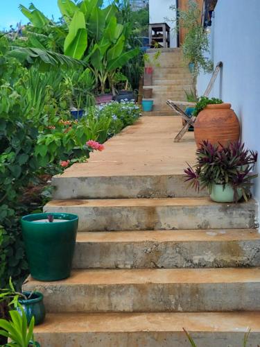 a set of stairs with potted plants on them at Petite maison chic et charmante in Sada