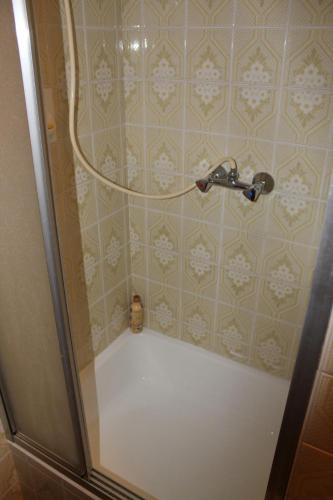 a shower with a hose in a bathroom at Elsa's Waldnest-Nähe Fichtelsee in Warmensteinach
