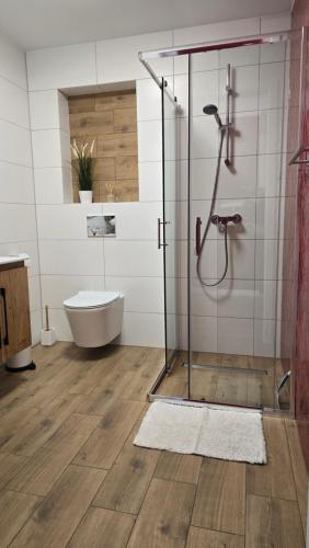 a bathroom with a shower and a toilet at Apartamenty Rynek 3 Czerwony in Osie