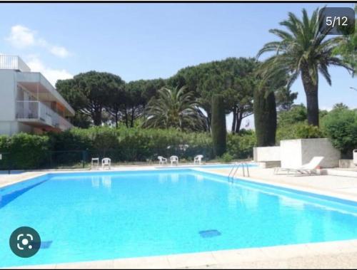 une grande piscine bleue avec des palmiers et un bâtiment dans l'établissement St Tropez face a la plage Magnifique appartement T2 entièrement rénové grande terrasse 2 piscines résidence à 2 pas du port et du centre ville, à Saint-Tropez