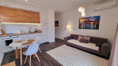 Η κουζίνα ή μικρή κουζίνα στο Tehnoplus apartment