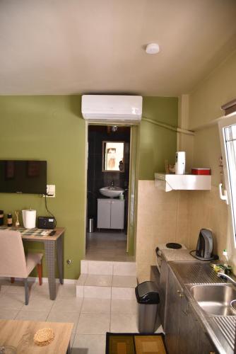 a kitchen with green walls and a sink at Sweet Home in Glykórrizon