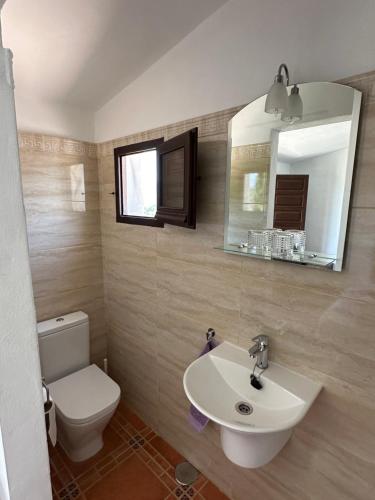 ein Badezimmer mit Waschbecken, Toilette und Spiegel in der Unterkunft Andalusian holiday cottage La Cuadra in Málaga