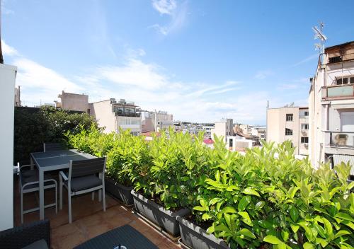 Emily in Athens - Central chic flat with terrace Syntagma E1