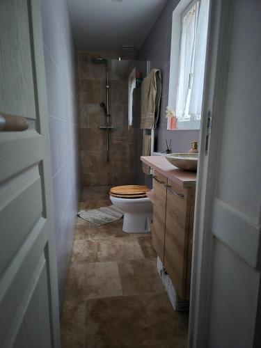 une salle de bain avec une douche, des toilettes et un lavabo dans l'établissement Echoppe Bordelaise, à Bordeaux
