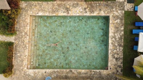 a bird flying over a pool of water at Hameki in Homún