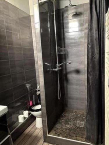 une douche avec une porte vitrée dans une salle de bain dans l'établissement T2 Elégant Avignon Coeur Historique Climatisé, à Avignon