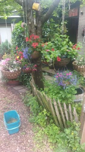 Κήπος έξω από το Bed and Breakfast Het Oude Bos