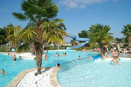 un groupe de personnes nageant dans une piscine dans l'établissement Bungalow moderne vue bassin les viviers Cap-ferret, à Lège-Cap-Ferret