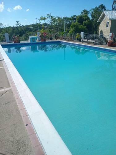 Der Swimmingpool an oder in der Nähe von Escape to ParakeetHill B&B