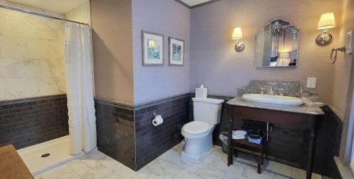 a bathroom with a sink and a toilet and a shower at The New Victorian Mansion Bed & Breakfast in Saint Paul