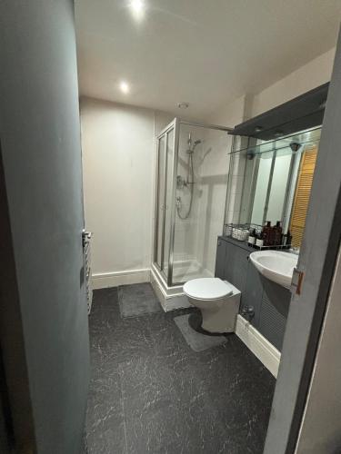 a bathroom with a toilet and a sink at Cozy Studio Apartment in Leeds