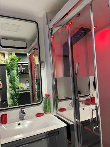 une salle de bain avec un lavabo et un miroir dans l'établissement C12 Deluxe, au Cap d'Agde