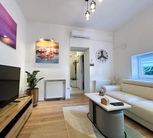 Apartment Silver Star with parking