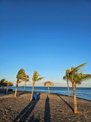 a group of palm trees on a sandy beach at Alojamiento Vacacional de Playa in Río Hato