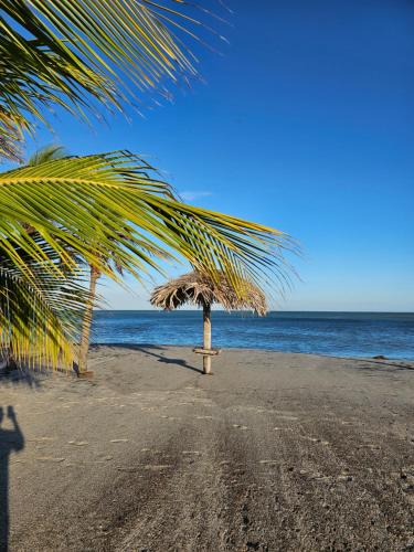a palm tree on a sandy beach near the ocean at Alojamiento Vacacional de Playa in Río Hato