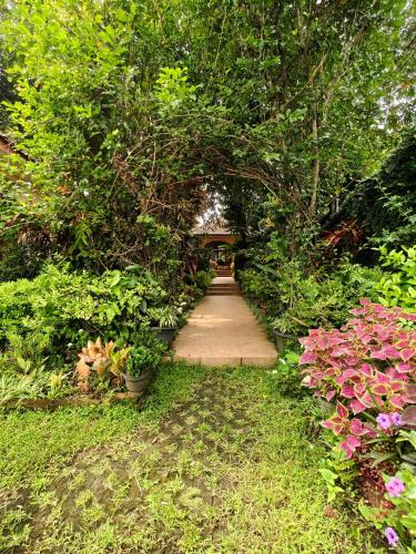 a path through a garden with flowers and plants at Wonderful Villa Felice in Yogyakarta