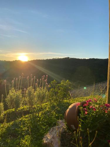 a sun setting over a garden with flowers at Casa Aconchegante na Montanha in Campos do Jordão