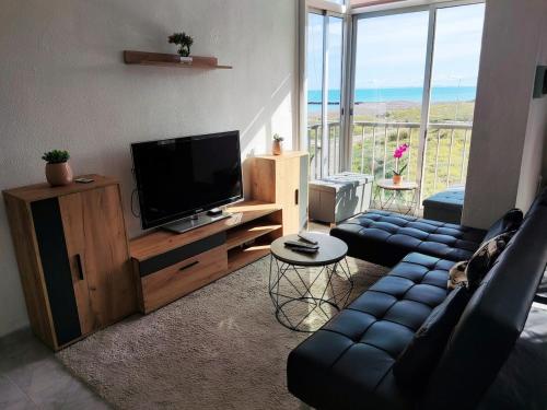 Μια τηλεόραση ή/και κέντρο ψυχαγωγίας στο Appartement sur la plage