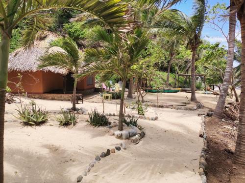 a resort yard with palm trees and a building at Hotel Bahía de la Luna in Arroyo Cruz