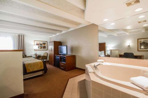 Gallery image of Comfort Inn & Suites Madison - Airport in Madison