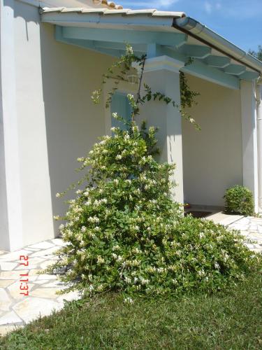 Foto Aroggia Farm 6