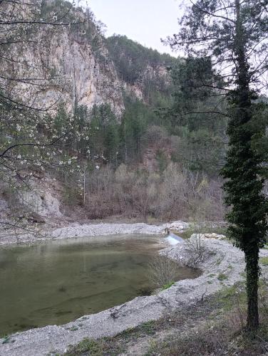 a body of water with a tree and a mountain at Dedin Konak in Mokra Gora